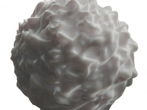 Lymphocytes Pack 3D Model