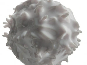Lymphocytes Pack 3D Model