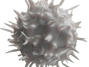 Lymphocytes Pack Modelo 3D