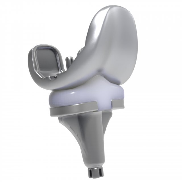 Knee Replacement Implant 3D Model .c4d .max .obj .3ds .fbx .lwo .lw .lws