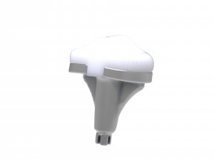Knee Replacement Implant 3D Model