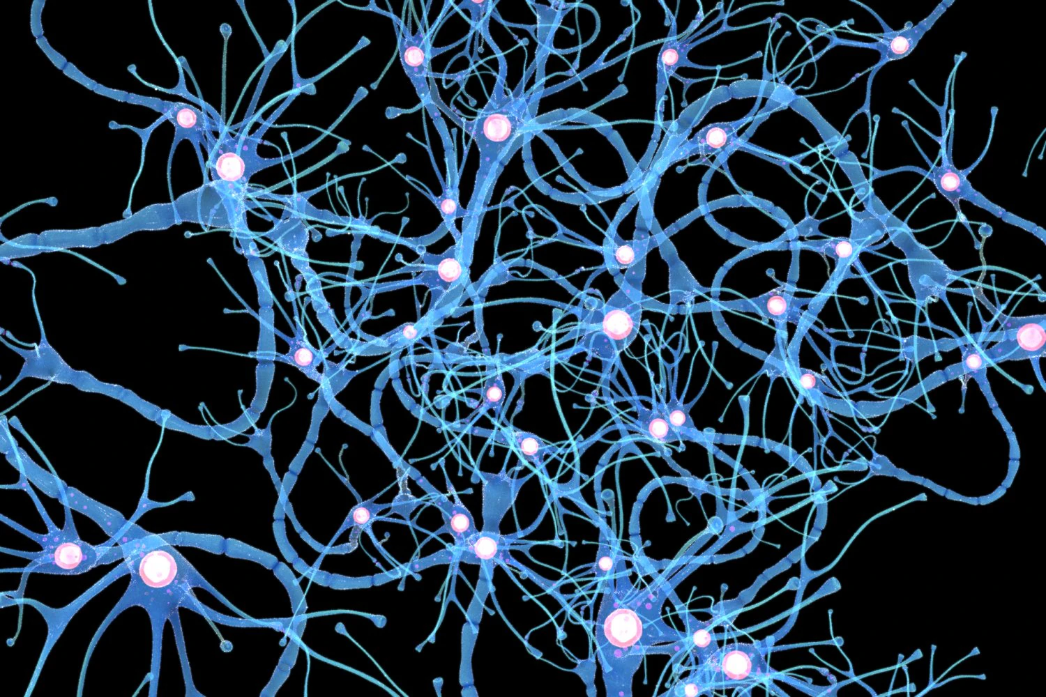 Nerve Cell Anatomy In Details 3D Model .c4d .max .obj .3ds .fbx .stl .blend 