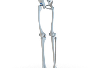 Hip replacement implant installed in the pelvis bone 3D Модель