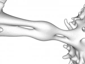 Cellula dei linfociti Modello 3D