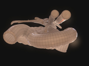 PPancreas Human Model 3D