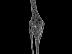 Diz eklemi 3D Model