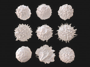 Lymphocytes Pack Modelo 3D