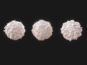 Lymphocytes Pack Modelo 3D