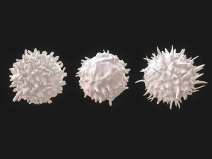 Lymphocytes Pack Modelo 3D