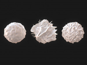 Lymphocytes Pack Modelo 3D