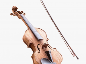 Violin Fiddle Wood 3D Model