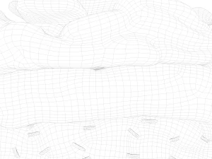 Epidermis Cross Section Anatomy 3D Model