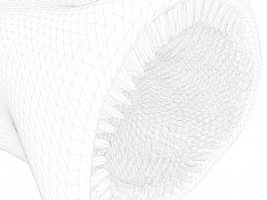 Intestinal Microvilli Anatomy 3D 모델