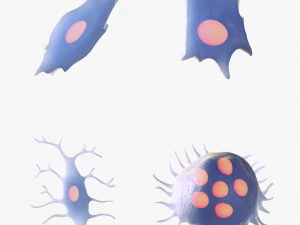 Osteo Cell Anatomy Pack 3D Model
