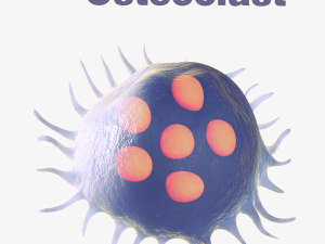 Osteo Cell Anatomy Pack 3D Модель