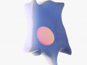 Osteo Cell Anatomy Pack 3D Модель
