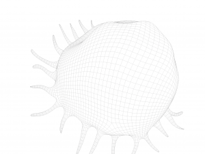 Osteo Cell Anatomy Pack 3D Модель