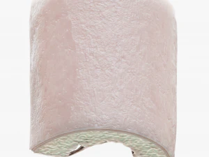 Bone Structure Anatomy Periosteum Spongy 3D Model