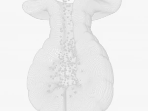 Exocrine gland 3D Model