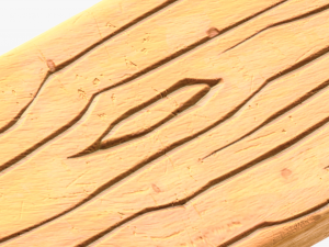 Cartoon Wood Planks Model 3D