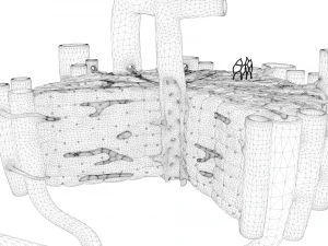 Anatomia microscopica del fegato Modello 3D