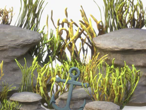 Coral Reef Stylized 3D Model
