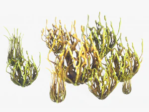 Coral Reef Stylized 3D Model