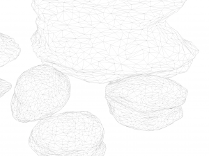 Coral Reef Stylized 3D Model