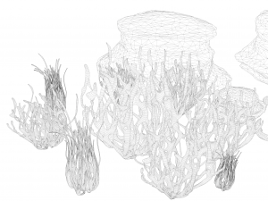 Coral Reef Stylized 3D Model