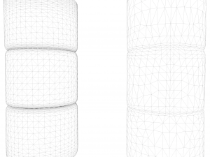 Vascular Tissue System in Plants 3D Model