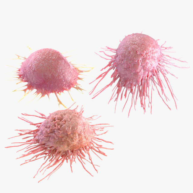 Cancer Cell Modelo 3D .c4d .max .obj .3ds .fbx .stl .blend 