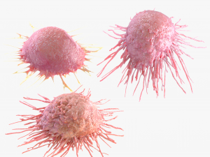 Cancer Cell 3D मॉडल