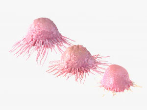 Cancer Cell 3D Model