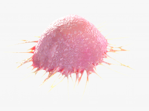 Cancer Cell Modelo 3D