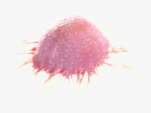 Cancer Cell 3D Model