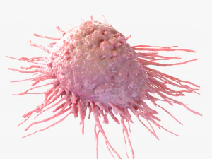 Cancer Cell 3D Model