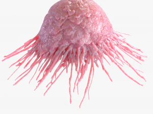 Cancer Cell 3D Model