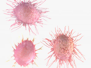 Cancer Cell 3D Model