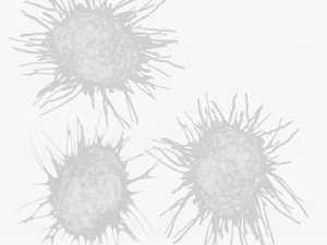 Cancer Cell 3D Model