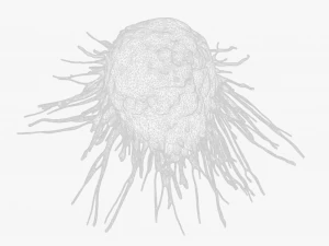 Cancer Cell 3D Model