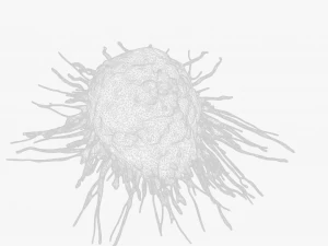 Cancer Cell 3D Model