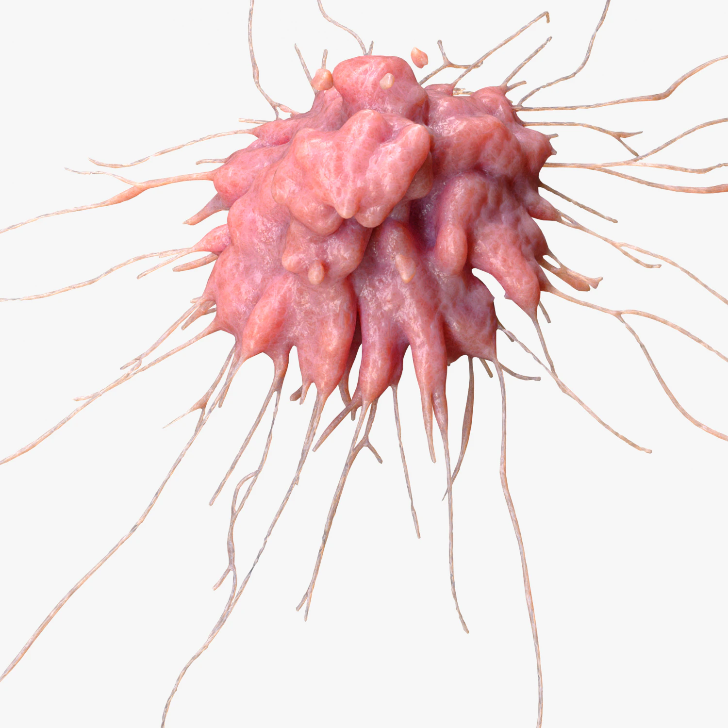 Cancer Cell Tumor 3D Model .c4d .max .obj .3ds .fbx .stl .blend 