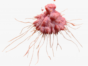 Cancer Cell Tumor 3D मॉडल