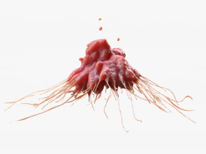 Cancer Cell Tumor 3D Model