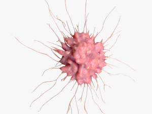 Cancer Cell Tumor 3D मॉडल