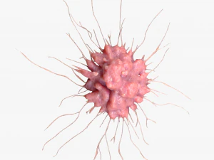 Cancer Cell Tumor 3D Model