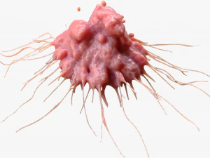 Cancer Cell Tumor 3D Model