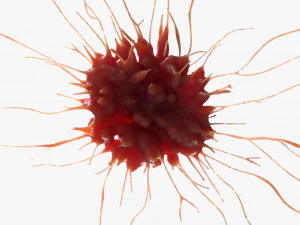 Cancer Cell Tumor 3D Model