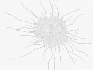 Cancer Cell Tumor 3D Model