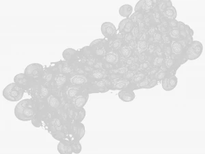 Fat Cell Anatomy 3D Model